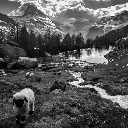 Pop Up 3* Zermatt